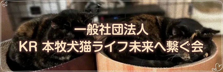 一般社団法人KR 本牧犬猫ライフ未来へ繋ぐ会