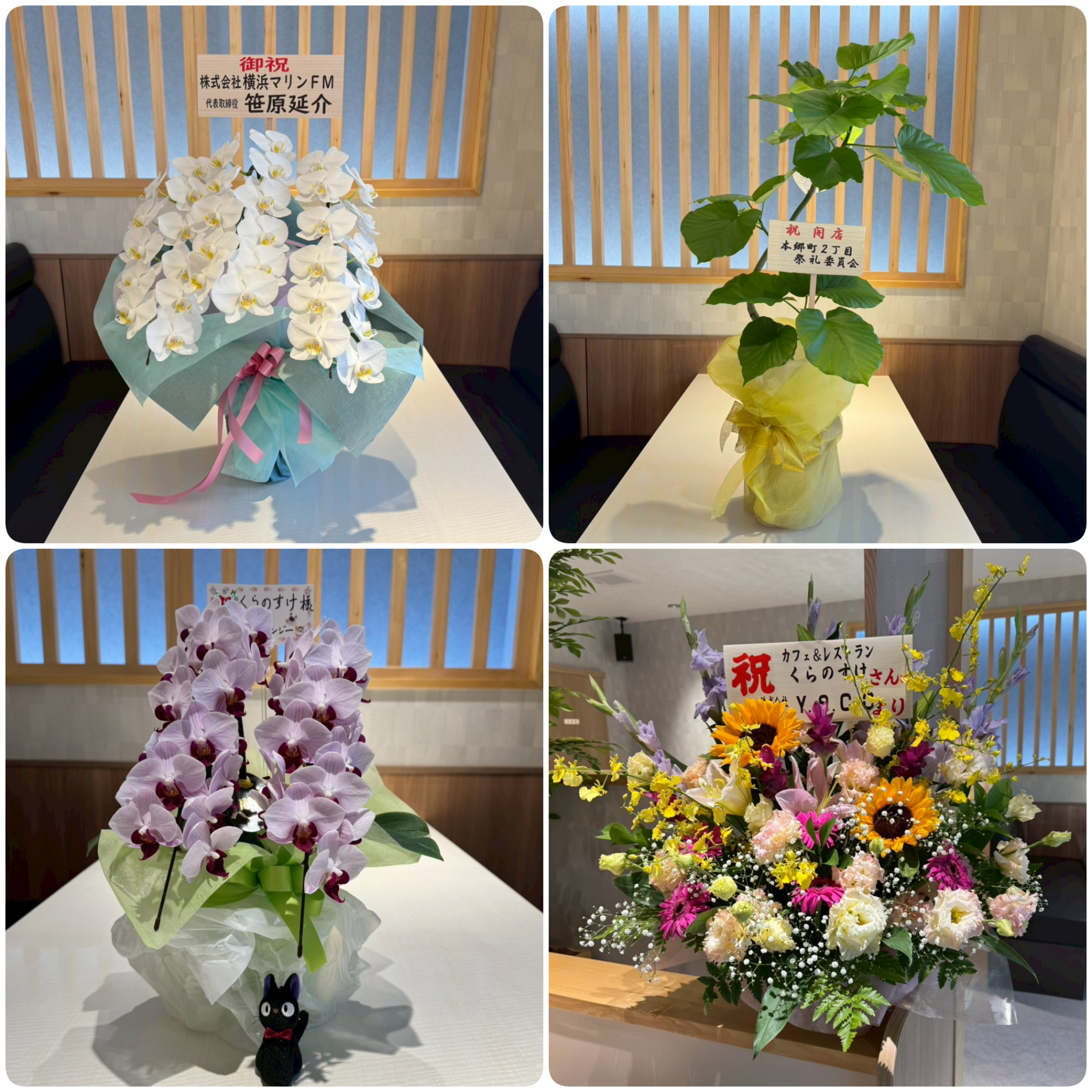 開店祝いに数多くのお花をいただきました! – 株式会社クラステイタス