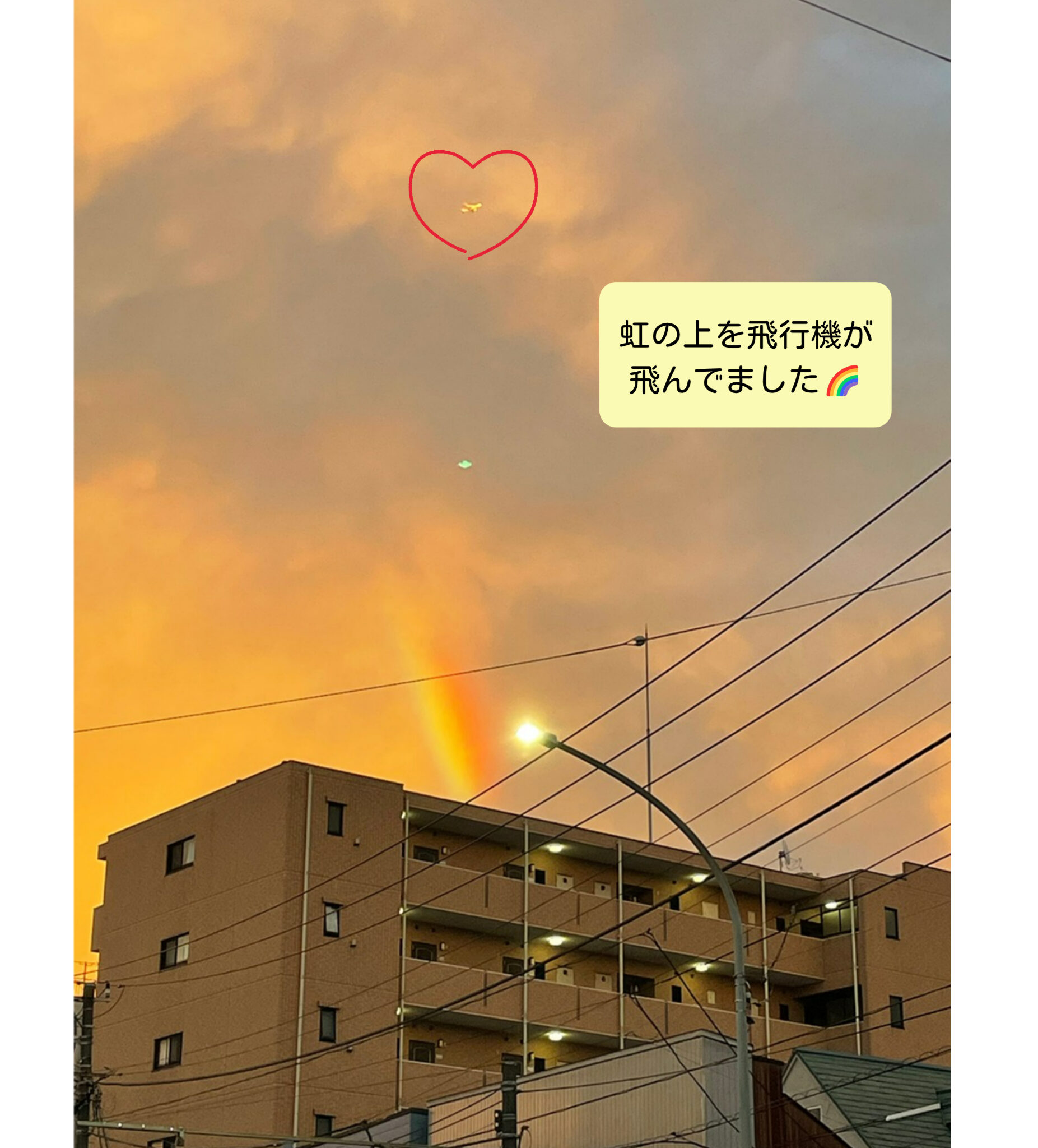 虹が見えました🌈 株式会社クラステイタス